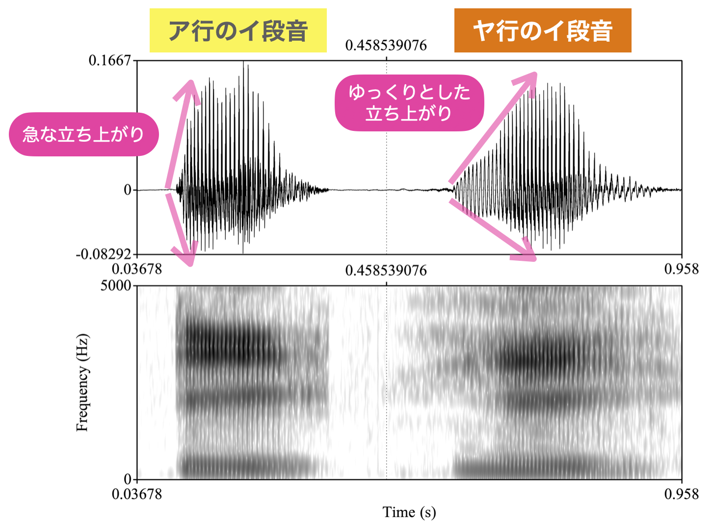 段音 音声波形図